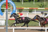 BAVİ REŞ