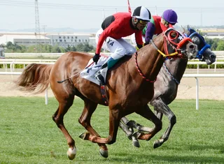CANKARDEŞLER