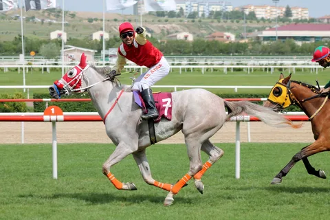 DERAY HANIM DERAY HANIM