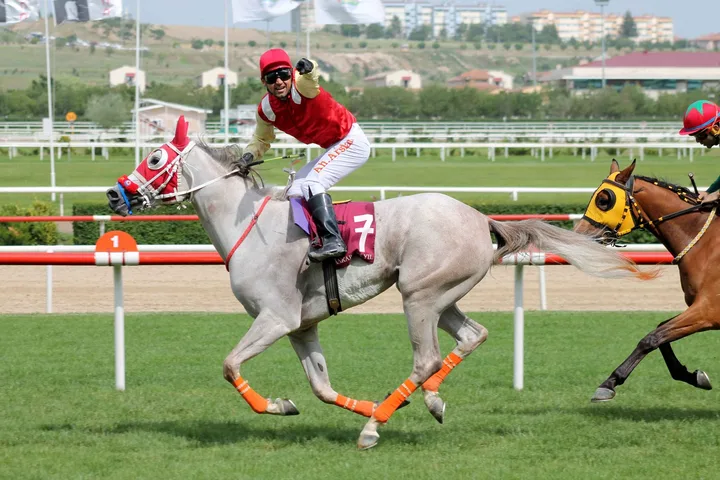 DERAY HANIM DERAY HANIM