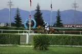 MAKTAYMAN