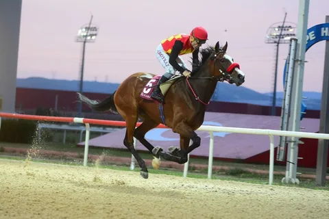SUPERSTAR LADY