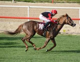 TOMİRİS