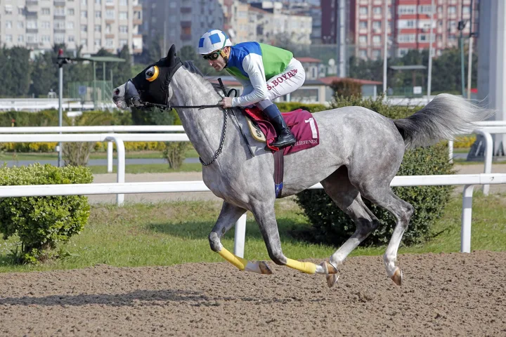 ULUKIZ ULUKIZ