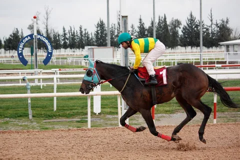 ALTIN KOP