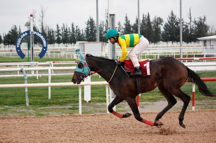 ALTIN KOP ALTIN KOP