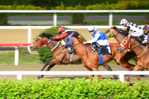 CRIMIAN WIND(3) (IRE)