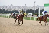 PATRONİÇE PATRONİÇE