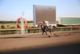 TASARIMCI TASARIMCI