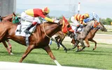 VARLIKLI