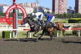 ASLAN ADAM ASLAN ADAM