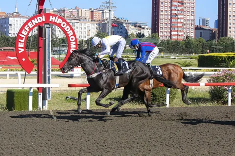 ASLAN ADAM