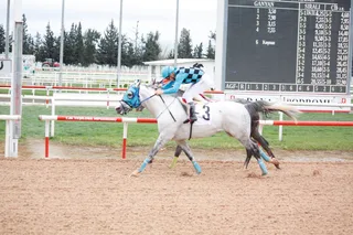 BİLDENHAN