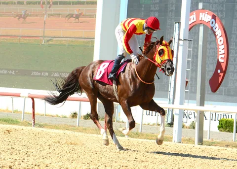 GÜMBÜRGÜMBÜR