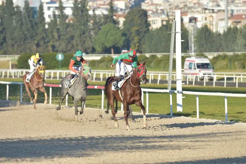 MEMDUHAĞA MEMDUHAĞA