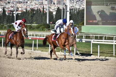 MY SULTAN MY SULTAN