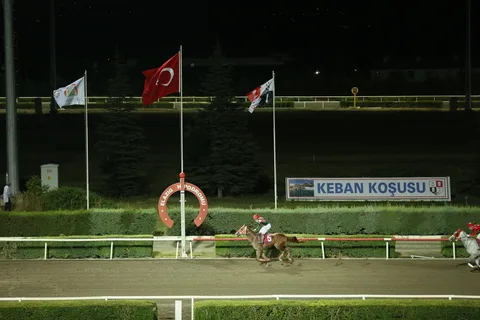 ŞENALP