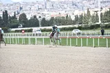 ATEŞBÜKEN