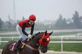 BARİKAT