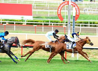 ÇALTEPE