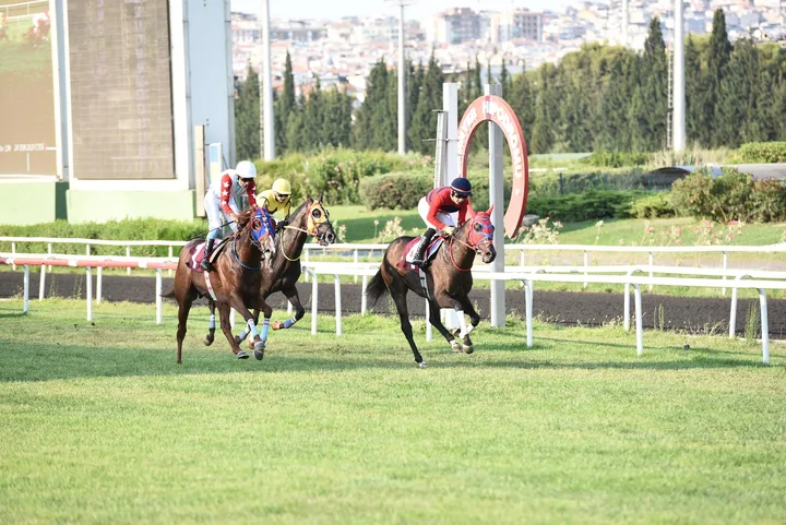 KAPOĞLU KAPOĞLU