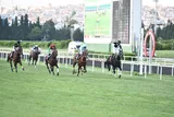 KARA MEHMET KARA MEHMET