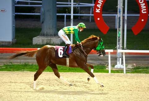 KEY OF MAGIC