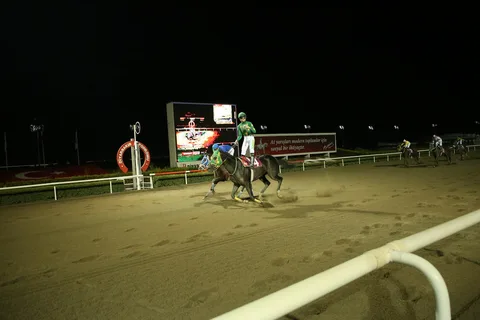 KING OMER(4) (CAN)