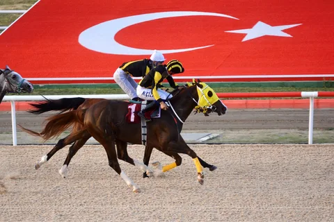KORAY KORAY