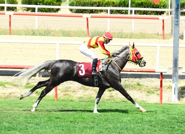 KUDDUSİ KUDDUSİ