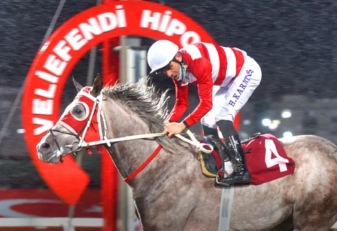 NİĞBOLU NİĞBOLU