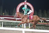 ŞAHİNTER