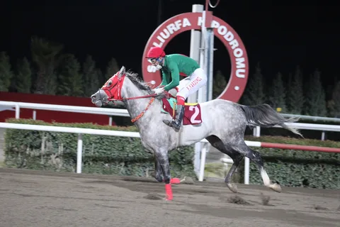 SEYRANTEPE