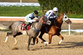TOROSDAĞI