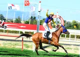 YEŞİL ELMA