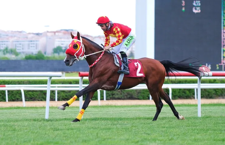 AŞKABAT AŞKABAT