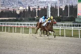 ATİK ATİK ATİK ATİK