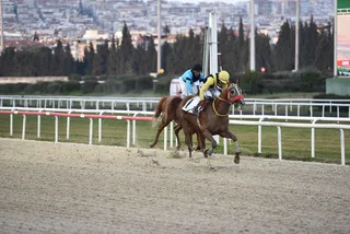ATİK ATİK