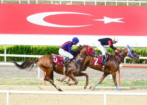 CANIM ÇITIR CANIM ÇITIR