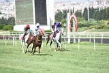 EGENİN ASLANI EGENİN ASLANI