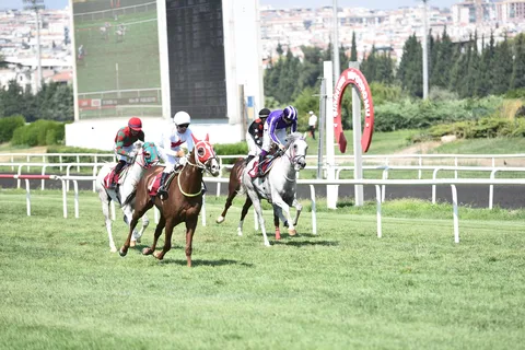 EGENİN ASLANI EGENİN ASLANI