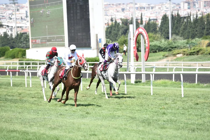 EGENİN ASLANI EGENİN ASLANI