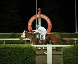 SILVER CLOUD