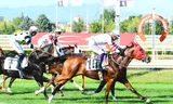 YÜREK STAR YÜREK STAR