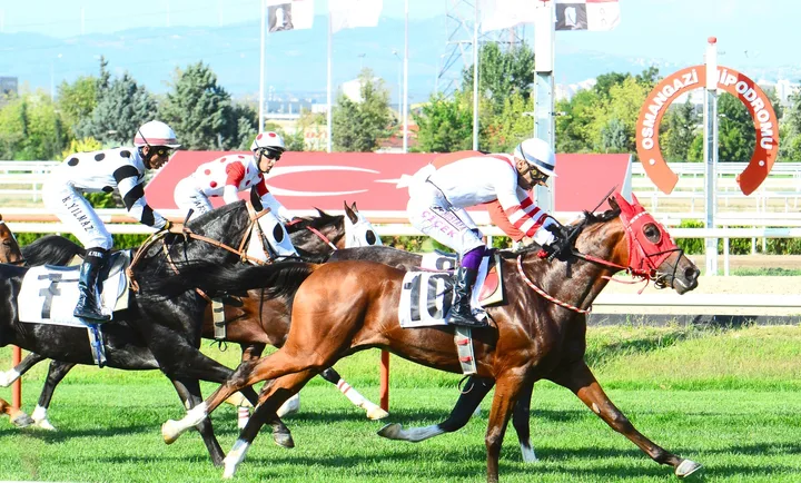 YÜREK STAR YÜREK STAR