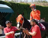 AZMİN ZAFERİ