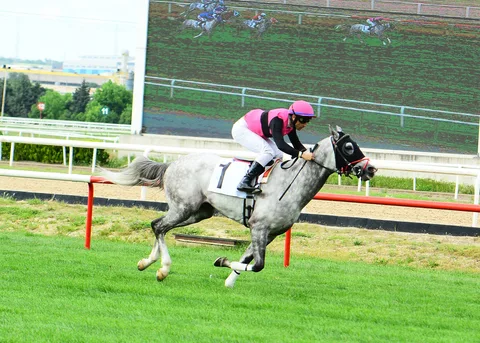 BERKTİMUR BERKTİMUR