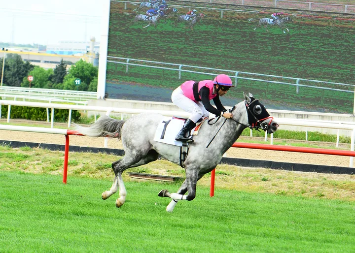 BERKTİMUR BERKTİMUR