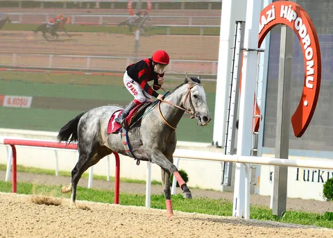 CAFER BEY CAFER BEY