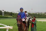ÇIĞGÜZELİ